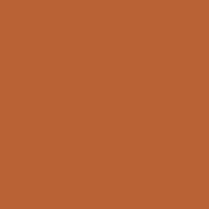Burnt Pumpkin