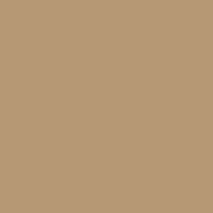 Coastal Tan